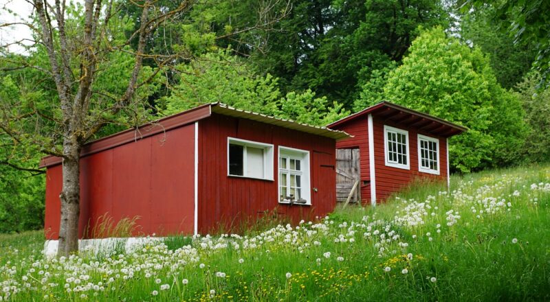 Comment Aménager un Terrain pour une Tiny House?